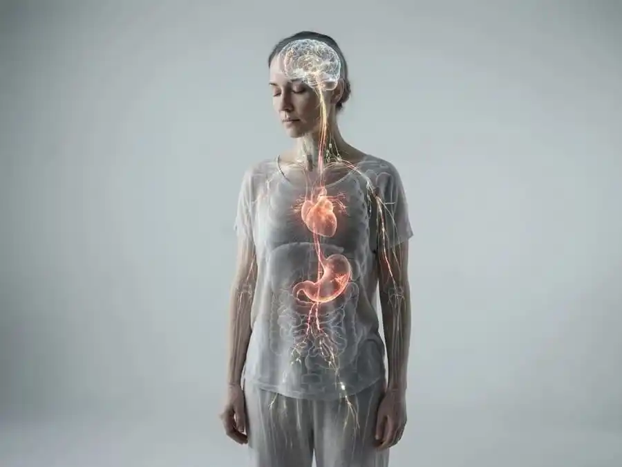 Representação surreal e conceitual de um corpo humano transparente, com linhas energéticas brilhantes conectando o cérebro ao coração, estômago e sistema imunológico, indicando o impacto físico do estresse emocional.